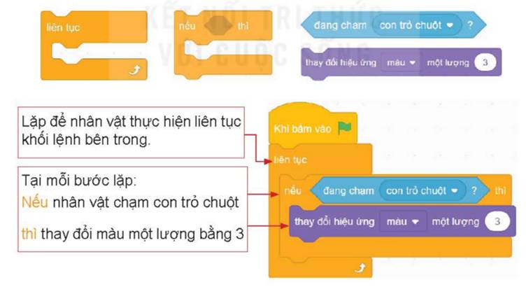 BÀI 13. CẤU TRÚC RẼ NHÁNH