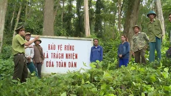 MỞ ĐẦULâm nghiệp và thuỷ sản là các ngành không chỉ đóng vai trò quan trọng đối với nền kinh tế – xã hội mà còn có ý nghĩa to lớn trong việc đâm bảo cân bằng sinh thai và bảo vệ môi trường, đáp ứng yêu cầu phát triển bên vùng của đất nước. Ngành lâm nghiệp và thuỷ sản ở nước ta phát triển dựa trên thế mạnh nào, phát triển và phân bố ra sao?Giải chi tiết: Ngành lâm nghiệpNgành thủy sảnThế mạnh- Tổng diện tích rừng nước ta năm 2021 là hơn 14 745,2 nghìn ha. + Vùng có diện tích rừng lớn nhất nước ta là Bắc Trung Bộ và Duyên hải miền Trung, tiếp đến là Trung du và miền núi Bắc Bộ, Tây Nguyên.+ Rừng của nước ta có nhiều loại gỗ tốt như đinh, lim, nghiến, tấu,... cùng nhiều loại lâm sản khác có giá trị. + Mỗi năm, nước ta có khả năng khai thác hơn chục triệu mét khối gỗ, hàng trăm triệu cây tre, luồng, nứa,... phục vụ cho ngành chế biến gỗ, sản xuất giấy và các nhu cầu khác.- Vùng biển nước ta có nguồn lợi hải sản phong phú. - Dọc bờ biển nước ta có nhiều vũng vịnh, đầm phá và các cánh rừng ngập mặn, có nhiều hệ thống sông, cửa sông ra biển.=> thuận lợi để hình thành các bãi tôm, cá và nuôi trồng thuỷ sản nước mặn, nước lợ và nước ngọt.- Nhân dân có nhiều kinh nghiệm trong khai thác và nuôi trồng thuỷ sản, trình độ người lao động được nâng cao, thuận lợi cho việc ứng dụng khoa học – công nghệ tiên tiến vào sản xuất.- Các phương tiện tàu thuyền, ngư cụ được trang bị ngày càng hiện đại. - Thị trường tiêu thụ ngày càng mở rộng cả trong và ngoài nước. Tình hình phát triển- Ngành lâm nghiệp có vai trò quan trọng về kinh tế – xã hội và bảo vệ môi trường sinh thái. - Năm 2021, giá trị sản xuất ngành chiếm khoảng 3% trong cơ cấu giá trị sản xuất khu vực nông nghiệp, lâm nghiệp và thuỷ sản. - Tốc độ tăng trưởng trung bình của ngành đạt 6,5%/năm trong giai đoạn 2010 - 2021.- Trong thời gian qua, những tiến bộ khoa học – công nghệ đã được áp dụng vào tất cả các hoạt động của ngành lâm nghiệp như công nghệ sinh học và giống cây rừng, công nghệ chế biến lâm sản, trồng rừng, công nghệ điều tra, giám sát và quản lí cơ sở dữ liệu về tài nguyên rừng....- Các hoạt động lâm nghiệp bao gồm: khai thác, chế biến lâm sản; lâm sinh (trồng rừng, khoanh nuôi và bảo vệ rừng).- Khai thác, chế biến lâm sản- Trồng rừng, khoanh nuôi và bảo vệ rừng- Công tác khoanh nuôi và bảo vệ rừng đã góp phần bảo vệ, phát triển và sử dụng hiệu quả, bền vững diện tích rừng hiện có, bước đầu đáp ứng các yêu cầu về giảm nhẹ thiên tai, bảo vệ môi trường sinh thái, ứng phó với biến đổi khí hậu.- Khai thác thuỷ sản+ Sản lượng khai thác năm 2021 đạt hơn 3,9 triệu tấn, chiếm 44,6% tổng sản lượng thuỷ sản. + Hoạt động khai thác xa bờ được đẩy mạnh, việc kiểm soát vùng đánh bắt và truy xuất nguồn gốc đánh bắt ngày càng được chú trọng.- Nuôi trồng thuỷ sản+ Hoạt động nuôi trồng thuỷ sản phát triển với tốc độ nhanh và có sản lượng luôn cao hơn sản lượng khai thác. + Được phát triển theo hình thức trang trại công nghệ cao, nuôi hữu cơ,... đa dạng hoá đối tượng nuôi trồng. + Sản phẩm thuỷ sản ngày càng đáp ứng yêu cầu về an toàn thực phẩm, truy xuất nguồn gốc và các tiêu chuẩn quốc tế. + Nhiều sản phẩm thuỷ sản nuôi trống đã qua chế biến của nước ta được xuất khẩu đến các thị trường lớn trên thế giới như Hoa Kỳ, EU, Nhật Bản,...Phân bốVùng có sản lượng gỗ khai thác nhiều nhất là Bắc Trung Bộ và Duyên hải miền Trung (chiếm 59,1% sản lượng gỗ khai thác của cả nước năm 2021), tiếp đến là Trung du và miền núi Bắc Bộ (chiếm 26,4%).- Các tỉnh đứng đầu về sản lượng khai thác thuỷ sản gồm: Kiên Giang, Cà Mau, Bình Định, Bình Thuận, Bến Tre,...- Vùng nuôi trồng thuỷ sản lớn nhất nước ta là vùng Đồng bằng sông Cửu Long (chiếm 69,8% sản lượng nuôi trồng thuỷ sản của cả nước), đứng thứ hai là vùng Đồng bằng sông Hồng (chiếm 17,3% năm 2021). I. VẤN ĐỀ PHÁT TRIỂN NGÀNH LÂM NGHIỆPCâu hỏi: Dựa vào thông tin mục I, hãy phân tích thế mạnh và hạn chế đối với phát triển ngành lâm nghiệp ở nước ta.Giải chi tiết:a. Thế mạnh - Tổng diện tích rừng nước ta năm 2021 là hơn 14 745,2 nghìn ha, trong đó rừng tự nhiên chiếm 69,0%, còn lại là rừng trồng; tỉ lệ che phủ rừng đạt 42,0%. - Rừng của nước ta có nhiều loại gỗ tốt như đinh, lim, nghiến, tấu,... cùng nhiều loại lâm sản khác có giá trị. - Trên phạm vi cả nước, nhiều vườn quốc gia, khu bảo tồn thiên nhiên, khu dự trữ sinh quyển được thành lập nhằm bảo tồn nguồn gen và bảo vệ môi trường sinh thái.- Mỗi năm, nước ta có khả năng khai thác hơn chục triệu mét khối gỗ, hàng trăm triệu cây tre, luồng, nứa,... phục vụ cho ngành chế biến gỗ, sản xuất giấy và các nhu cầu khác.- Ngoài ra, các điều kiện về địa hình, đất, khí hậu thuận lợi cho công tác trồng rừng, khoanh nuôi tự nhiên và bảo vệ rừng. Nhiều chính sách phát triển lâm nghiệp được triển khai như hỗ trợ, khuyến khích đầu tư bảo vệ, quản lí rừng tự nhiên; xã hội hoá nghề rừng, phát triển lâm nghiệp cộng đồng; phát triển nông lâm kết hợp,... tạo động lực thúc đẩy phát triển lâm nghiệp bền vững.- Việc nghiên cứu, chuyển giao, ứng dụng tiến bộ khoa học – công nghệ, chế biến sâu, phát triển sản phẩm, thương hiệu và thị trường,... được tăng cường trong tất cả các khâu của chuỗi giá trị ngành lâm nghiệp.b. Hạn chế- Chất lượng rừng thấp, chủ yếu là rừng thứ sinh mới phục hồi. Năng suất rừng trồng tuy được cải thiện nhưng vẫn còn thấp.- Sự hợp tác, liên kết giữa các doanh nghiệp sản xuất, chế biến với người trồng rừng còn hạn chế. Câu hỏi: Dựa vào thông tin mục 2, hãy trình bày tình hình phát triển và phân bố của ngành lâm nghiệp nước ta.Giải chi tiết:a. Tình hình phát triển- Năm 2021, giá trị sản xuất ngành chiếm khoảng 3% trong cơ cấu giá trị sản xuất khu vực nông nghiệp, lâm nghiệp và thuỷ sản. - Tốc độ tăng trưởng trung bình của ngành đạt 6,5%/năm trong giai đoạn 2010 - 2021.- Những tiến bộ khoa học – công nghệ đã được áp dụng vào tất cả các hoạt động của ngành lâm nghiệp như công nghệ sinh học và giống cây rừng, công nghệ chế biến lâm sản, trồng rừng, công nghệ điều tra, giám sát và quản lí cơ sở dữ liệu về tài nguyên rừng....- Các hoạt động lâm nghiệp bao gồm: khai thác, chế biến lâm sản; lâm sinh (trồng rừng, khoanh nuôi và bảo vệ rừng).- Khai thác, chế biến lâm sản+ Sản lượng khai thác gỗ rừng trồng tăng, khai thác rừng tự nhiên được quản lí chặt chẽ theo hướng bền vững. + Năm 2021, sản lượng gỗ khai thác của nước ta đạt 18,9 triệu m³. + Các sản phẩm chế biến gỗ quan trọng nhất là gỗ tròn, gỗ xẻ, ván sàn, đồ gỗ, gỗ lạng, gỗ giấy và gỗ dán. + Các lâm sản ngoài gỗ như măng, mộc nhĩ, dược liệu,... cũng được khai thác. + Công nghiệp chế biến gỗ và lâm sản, dịch vụ thương mại đang ngày càng gắn kết chặt chẽ với các vùng nguyên liệu.- Trồng rừng, khoanh nuôi và bảo vệ rừng+ Hoạt động trồng rừng được quan tâm đẩy mạnh, diện tích rừng trồng mới tập trung ngày càng tăng. + Trung bình mỗi năm, nước ta trồng mới khoảng 200 nghìn ha rừng tập trung. + Đến năm 2021, cả nước có gần 4 600 nghìn ha rừng trồng tập trung, trong đó chủ yếu là rừng làm nguyên liệu giấy, rừng gỗ trụ mỏ, rừng thông nhựa, rừng phòng hộ,...- Công tác khoanh nuôi và bảo vệ rừng đã góp phần bảo vệ, phát triển và sử dụng hiệu quả, bền vững diện tích rừng hiện có, bước đầu đáp ứng các yêu cầu về giảm nhẹ thiên tai, bảo vệ môi trường sinh thái, ứng phó với biến đổi khí hậu.b. Phân bốVùng có sản lượng gỗ khai thác nhiều nhất là Bắc Trung Bộ và Duyên hải miền Trung (chiếm 59,1% sản lượng gỗ khai thác của cả nước năm 2021), tiếp đến là Trung du và miền núi Bắc Bộ (chiếm 26,4%). Câu hỏi: Dựa vào thông tin mục 3, hãy trình bày vấn đề quản lí và bảo vệ tài nguyên rừng ở nước taGiải chi tiết:- Việc quản lí, sử dụng và phát triển tài nguyên rừng bền vững là định hướng chiến lược quan trọng, góp phần phát triển kinh tế chung của đất nước, cải thiện đời sống người dân, bảo tồn đa dạng sinh học,... - Nhiều chính sách về quản lí và bảo vệ tài nguyên rừng bền vững được ban hành thông qua Luật Lâm nghiệp.- Để nâng cao hiệu quả quản lí, bảo vệ rừng ở nước ta cần có các giải pháp:+ Xây dựng và thực hiện chính sách quản lí hệ sinh thái rừng, sử dụng tài nguyên thiên nhiên bền vững theo quy định của pháp luật.+ Rà soát, đánh giá, kiểm soát chặt chẽ các quy hoạch, dự án phát triển kinh tế - xã - hội có tác động tiêu cực đến diện tích, chất lượng rừng, đặc biệt là đối với rừng tự nhiên, rừng phòng hộ.+ Giám sát chặt chẽ các dự án chuyển đổi mục đích sử dụng rừng, nhất là đối với các dự án phát triển thuỷ điện, khai thác khoáng sản, xây dựng các khu công nghiệp, dịch vụ du lịch,...+ Đẩy mạnh trồng rừng ngập mặn, rừng phòng hộ ven biển, ven sông, rừng đầu nguồn; trồng rừng mới, trồng lại rừng sau khai thác; khoanh nuôi, xúc tiến tái sinh phục hồi, bổ sung rừng, nâng cao giá trị của rừng.+ Nâng cao nhận thức về bảo vệ và phát triển rừng cho người dân vùng rừng; nâng cao năng lực của lực lượng trực tiếp quản lí, bảo vệ rừng thông qua việc tham gia các chương trình tập huấn, đào tạo chuyên môn,... từ các dự án do các tổ chức trong và ngoài nước tài trợ.+ Trao quyền sử dụng đất rừng lâu dài cho chủ sử dụng; tăng cường quản lí rừng dựa vào cộng đồng, ổn định cuộc sống lâu dài với nghề rừng, nâng cao ý thức bảo vệ tài nguyên rừng. II. VẤN ĐỀ PHÁT TRIỂN NGÀNH THỦY SẢNCâu hỏi: Dựa vào thông tin mục 1, hãy phân tích thế mạnh và hạn chế đối với phát triển ngành thủy sản nước ta.Giải chi tiết:a. Thế mạnh:- Vùng biển nước ta có nguồn lợi hải sản phong phú. + Tổng trữ lượng hải sản khoảng 4 triệu tấn, cho phép khai thác bến vững khoảng 1,5 triệu tấn mỗi năm. + Biển nước ta có hơn 2 000 loài cá, 2 500 loài nhuyễn thể, 600 loài rong biển, trong đó có khoảng 130 loài cá và 100 loài tôm có giá trị kinh tế cao. + Ngoài ra, có nhiều loại đặc sản như hải sâm, bào ngư,... + Nước ta có nhiều ngư trường, trong đó có 4 ngư trường trọng điểm đã được xác định: ngư trường Hải Phòng – Quảng Ninh, ngư trường quần đảo Hoàng Sa – quân đảo Trường Sa, ngư trường Ninh Thuận – Bình Thuận – Bà Rịa – Vũng Tàu và ngư trường Cà Mau – Kiên Giang.- Dọc bờ biển nước ta có nhiều vũng vịnh, đầm phá và các cánh rừng ngập mặn, có nhiều hệ thống sông, cửa sông ra biển=> Tạo thuận lợi để hình thành các bãi tôm, cá và nuôi trồng thuỷ sản nước mặn, nước lợ và nước ngọt.- Nhân dân có nhiều kinh nghiệm trong khai thác và nuôi trồng thuỷ sản, trình độ người lao động được nâng cao.=> Thuận lợi ứng dụng khoa học – công nghệ tiên tiến vào sản xuất.- Các phương tiện tàu thuyền, ngư cụ được trang bị ngày càng hiện đại. + Dịch vụ nghề cá và cơ sở chế biển thuỷ sản được mở rộng và nâng cấp. + Công nghệ mới được áp dụng trong ngành thuỷ sản,=> Đem lại năng suất, hiệu quả, truy xuất được nguồn gốc,.... đáp ứng nhu cầu của thị trường và hướng tới phát triển bền vững.- Thị trường tiêu thụ ngày càng mở rộng cả trong và ngoài nước. Các mặt hàng thuỷ sản của nước ta cũng đã thâm nhập được vào thị trường EU, Hoa Kỳ, Nhật Bản,... - Những đổi mới trong chính sách của Nhà nước dã và đang có tác động tích cực tới sự phát triển của ngành thuỷ sản; đầu tư vốn; khai thác đi đôi với bảo vệ nguồn lợi và giữ vững chủ quyền biển, đảo,...b. Hạn chế: - Hằng năm, bão, áp thấp nhiệt đới hạn chế số ngày ra khơi đánh bắt, gây thiệt hại cho nuôi trồng.- Một số vùng ven biển và các lưu vực sông môi trường bị suy thoái, nguồn lợi thuỷ sản suy giảm.- Công nghệ khai thác, bảo quản và chế biến thuỷ sản ở một số vùng còn hạn chế. Câu hỏi: Dựa vào thông tin mục 2, hãy trình bày sự chuyển dịch cơ cấu, tình hình phát triển và phân bố ngành thủy sản nước ta.Giải chi tiết:1. Sự chuyển dịch cơ cấu- Những năm gần đây, ngành thuỷ sản đã có bước phát triển đột phá, giá trị sản xuất của ngành chiếm 26,3% tổng giá trị sản xuất khu vực nông nghiệp, lâm nghiệp và thuỷ sản nước ta (năm 2021). - Ngành nuôi trồng thuỷ sản có tốc độ tăng trưởng nhanh hơn ngành đánh bắt (3,5% so với 1,8% năm 2021).- Tổng sản lượng thuỷ sản, trong đó cả khai thác và nuôi trồng đều tăng lên rõ rệt trong giai đoạn 2010 – 2021.2. Tình hình phát triển- Khai thác thuỷ sản+ Sản lượng khai thác năm 2021 đạt hơn 3,9 triệu tấn, chiếm 44,6% tổng sản lượng thuỷ sản. + Hoạt động khai thác xa bờ được đẩy mạnh, việc kiểm soát vùng đánh bắt và truy xuất nguồn gốc đánh bắt ngày càng được chú trọng.- Nuôi trồng thuỷ sản+ Trong những năm gần đây, hoạt động nuôi trồng thuỷ sản phát triển với tốc độ nhanh và có sản lượng luôn cao hơn sản lượng khai thác. + Nuôi trồng thuỷ sản được phát triển theo hình thức trang trại công nghệ cao, nuôi hữu cơ,... đa dạng hoá đối tượng nuôi trồng. + Sản phẩm thuỷ sản ngày càng đáp ứng yêu cầu về an toàn thực phẩm, truy xuất nguồn gốc và các tiêu chuẩn quốc tế. + Nhiều sản phẩm thuỷ sản nuôi trống đã qua chế biến của nước ta được xuất khẩu đến các thị trường lớn trên thế giới như Hoa Kỳ, EU, Nhật Bản,...3. Phân bố+ Vùng có sản lượng thuỷ sản khai thác lớn nhất là Bắc Trung Bộ và Duyên hải miền Trung (chiếm 42,7% tổng sản lượng thuỷ sản khai thác cả nước), tiếp đến là vùng Đồng bằng sông Cửu Long (chiếm 38,3% năm 2021). Các tỉnh đứng đầu về sản lượng khai thác thuỷ sản gồm: Kiên Giang, Cà Mau, Bình Định, Bình Thuận, Bến Tre,...- Vùng nuôi trồng thuỷ sản lớn nhất nước ta là vùng Đồng bằng sông Cửu Long, (chiếm 69,8% sản lượng nuôi trồng thuỷ sản của cả nước), đứng thứ hai là vùng Đồng bằng sông Hồng (chiếm 17,3% năm 2021). LUYỆN TẬP, VẬN DỤNG