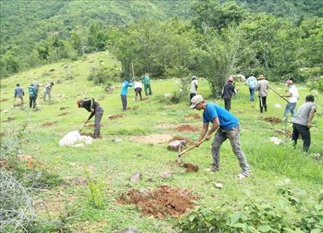 MỞ ĐẦULâm nghiệp và thuỷ sản là các ngành không chỉ đóng vai trò quan trọng đối với nền kinh tế – xã hội mà còn có ý nghĩa to lớn trong việc đâm bảo cân bằng sinh thai và bảo vệ môi trường, đáp ứng yêu cầu phát triển bên vùng của đất nước. Ngành lâm nghiệp và thuỷ sản ở nước ta phát triển dựa trên thế mạnh nào, phát triển và phân bố ra sao?Giải chi tiết: Ngành lâm nghiệpNgành thủy sảnThế mạnh- Tổng diện tích rừng nước ta năm 2021 là hơn 14 745,2 nghìn ha. + Vùng có diện tích rừng lớn nhất nước ta là Bắc Trung Bộ và Duyên hải miền Trung, tiếp đến là Trung du và miền núi Bắc Bộ, Tây Nguyên.+ Rừng của nước ta có nhiều loại gỗ tốt như đinh, lim, nghiến, tấu,... cùng nhiều loại lâm sản khác có giá trị. + Mỗi năm, nước ta có khả năng khai thác hơn chục triệu mét khối gỗ, hàng trăm triệu cây tre, luồng, nứa,... phục vụ cho ngành chế biến gỗ, sản xuất giấy và các nhu cầu khác.- Vùng biển nước ta có nguồn lợi hải sản phong phú. - Dọc bờ biển nước ta có nhiều vũng vịnh, đầm phá và các cánh rừng ngập mặn, có nhiều hệ thống sông, cửa sông ra biển.=> thuận lợi để hình thành các bãi tôm, cá và nuôi trồng thuỷ sản nước mặn, nước lợ và nước ngọt.- Nhân dân có nhiều kinh nghiệm trong khai thác và nuôi trồng thuỷ sản, trình độ người lao động được nâng cao, thuận lợi cho việc ứng dụng khoa học – công nghệ tiên tiến vào sản xuất.- Các phương tiện tàu thuyền, ngư cụ được trang bị ngày càng hiện đại. - Thị trường tiêu thụ ngày càng mở rộng cả trong và ngoài nước. Tình hình phát triển- Ngành lâm nghiệp có vai trò quan trọng về kinh tế – xã hội và bảo vệ môi trường sinh thái. - Năm 2021, giá trị sản xuất ngành chiếm khoảng 3% trong cơ cấu giá trị sản xuất khu vực nông nghiệp, lâm nghiệp và thuỷ sản. - Tốc độ tăng trưởng trung bình của ngành đạt 6,5%/năm trong giai đoạn 2010 - 2021.- Trong thời gian qua, những tiến bộ khoa học – công nghệ đã được áp dụng vào tất cả các hoạt động của ngành lâm nghiệp như công nghệ sinh học và giống cây rừng, công nghệ chế biến lâm sản, trồng rừng, công nghệ điều tra, giám sát và quản lí cơ sở dữ liệu về tài nguyên rừng....- Các hoạt động lâm nghiệp bao gồm: khai thác, chế biến lâm sản; lâm sinh (trồng rừng, khoanh nuôi và bảo vệ rừng).- Khai thác, chế biến lâm sản- Trồng rừng, khoanh nuôi và bảo vệ rừng- Công tác khoanh nuôi và bảo vệ rừng đã góp phần bảo vệ, phát triển và sử dụng hiệu quả, bền vững diện tích rừng hiện có, bước đầu đáp ứng các yêu cầu về giảm nhẹ thiên tai, bảo vệ môi trường sinh thái, ứng phó với biến đổi khí hậu.- Khai thác thuỷ sản+ Sản lượng khai thác năm 2021 đạt hơn 3,9 triệu tấn, chiếm 44,6% tổng sản lượng thuỷ sản. + Hoạt động khai thác xa bờ được đẩy mạnh, việc kiểm soát vùng đánh bắt và truy xuất nguồn gốc đánh bắt ngày càng được chú trọng.- Nuôi trồng thuỷ sản+ Hoạt động nuôi trồng thuỷ sản phát triển với tốc độ nhanh và có sản lượng luôn cao hơn sản lượng khai thác. + Được phát triển theo hình thức trang trại công nghệ cao, nuôi hữu cơ,... đa dạng hoá đối tượng nuôi trồng. + Sản phẩm thuỷ sản ngày càng đáp ứng yêu cầu về an toàn thực phẩm, truy xuất nguồn gốc và các tiêu chuẩn quốc tế. + Nhiều sản phẩm thuỷ sản nuôi trống đã qua chế biến của nước ta được xuất khẩu đến các thị trường lớn trên thế giới như Hoa Kỳ, EU, Nhật Bản,...Phân bốVùng có sản lượng gỗ khai thác nhiều nhất là Bắc Trung Bộ và Duyên hải miền Trung (chiếm 59,1% sản lượng gỗ khai thác của cả nước năm 2021), tiếp đến là Trung du và miền núi Bắc Bộ (chiếm 26,4%).- Các tỉnh đứng đầu về sản lượng khai thác thuỷ sản gồm: Kiên Giang, Cà Mau, Bình Định, Bình Thuận, Bến Tre,...- Vùng nuôi trồng thuỷ sản lớn nhất nước ta là vùng Đồng bằng sông Cửu Long (chiếm 69,8% sản lượng nuôi trồng thuỷ sản của cả nước), đứng thứ hai là vùng Đồng bằng sông Hồng (chiếm 17,3% năm 2021). I. VẤN ĐỀ PHÁT TRIỂN NGÀNH LÂM NGHIỆPCâu hỏi: Dựa vào thông tin mục I, hãy phân tích thế mạnh và hạn chế đối với phát triển ngành lâm nghiệp ở nước ta.Giải chi tiết:a. Thế mạnh - Tổng diện tích rừng nước ta năm 2021 là hơn 14 745,2 nghìn ha, trong đó rừng tự nhiên chiếm 69,0%, còn lại là rừng trồng; tỉ lệ che phủ rừng đạt 42,0%. - Rừng của nước ta có nhiều loại gỗ tốt như đinh, lim, nghiến, tấu,... cùng nhiều loại lâm sản khác có giá trị. - Trên phạm vi cả nước, nhiều vườn quốc gia, khu bảo tồn thiên nhiên, khu dự trữ sinh quyển được thành lập nhằm bảo tồn nguồn gen và bảo vệ môi trường sinh thái.- Mỗi năm, nước ta có khả năng khai thác hơn chục triệu mét khối gỗ, hàng trăm triệu cây tre, luồng, nứa,... phục vụ cho ngành chế biến gỗ, sản xuất giấy và các nhu cầu khác.- Ngoài ra, các điều kiện về địa hình, đất, khí hậu thuận lợi cho công tác trồng rừng, khoanh nuôi tự nhiên và bảo vệ rừng. Nhiều chính sách phát triển lâm nghiệp được triển khai như hỗ trợ, khuyến khích đầu tư bảo vệ, quản lí rừng tự nhiên; xã hội hoá nghề rừng, phát triển lâm nghiệp cộng đồng; phát triển nông lâm kết hợp,... tạo động lực thúc đẩy phát triển lâm nghiệp bền vững.- Việc nghiên cứu, chuyển giao, ứng dụng tiến bộ khoa học – công nghệ, chế biến sâu, phát triển sản phẩm, thương hiệu và thị trường,... được tăng cường trong tất cả các khâu của chuỗi giá trị ngành lâm nghiệp.b. Hạn chế- Chất lượng rừng thấp, chủ yếu là rừng thứ sinh mới phục hồi. Năng suất rừng trồng tuy được cải thiện nhưng vẫn còn thấp.- Sự hợp tác, liên kết giữa các doanh nghiệp sản xuất, chế biến với người trồng rừng còn hạn chế. Câu hỏi: Dựa vào thông tin mục 2, hãy trình bày tình hình phát triển và phân bố của ngành lâm nghiệp nước ta.Giải chi tiết:a. Tình hình phát triển- Năm 2021, giá trị sản xuất ngành chiếm khoảng 3% trong cơ cấu giá trị sản xuất khu vực nông nghiệp, lâm nghiệp và thuỷ sản. - Tốc độ tăng trưởng trung bình của ngành đạt 6,5%/năm trong giai đoạn 2010 - 2021.- Những tiến bộ khoa học – công nghệ đã được áp dụng vào tất cả các hoạt động của ngành lâm nghiệp như công nghệ sinh học và giống cây rừng, công nghệ chế biến lâm sản, trồng rừng, công nghệ điều tra, giám sát và quản lí cơ sở dữ liệu về tài nguyên rừng....- Các hoạt động lâm nghiệp bao gồm: khai thác, chế biến lâm sản; lâm sinh (trồng rừng, khoanh nuôi và bảo vệ rừng).- Khai thác, chế biến lâm sản+ Sản lượng khai thác gỗ rừng trồng tăng, khai thác rừng tự nhiên được quản lí chặt chẽ theo hướng bền vững. + Năm 2021, sản lượng gỗ khai thác của nước ta đạt 18,9 triệu m³. + Các sản phẩm chế biến gỗ quan trọng nhất là gỗ tròn, gỗ xẻ, ván sàn, đồ gỗ, gỗ lạng, gỗ giấy và gỗ dán. + Các lâm sản ngoài gỗ như măng, mộc nhĩ, dược liệu,... cũng được khai thác. + Công nghiệp chế biến gỗ và lâm sản, dịch vụ thương mại đang ngày càng gắn kết chặt chẽ với các vùng nguyên liệu.- Trồng rừng, khoanh nuôi và bảo vệ rừng+ Hoạt động trồng rừng được quan tâm đẩy mạnh, diện tích rừng trồng mới tập trung ngày càng tăng. + Trung bình mỗi năm, nước ta trồng mới khoảng 200 nghìn ha rừng tập trung. + Đến năm 2021, cả nước có gần 4 600 nghìn ha rừng trồng tập trung, trong đó chủ yếu là rừng làm nguyên liệu giấy, rừng gỗ trụ mỏ, rừng thông nhựa, rừng phòng hộ,...- Công tác khoanh nuôi và bảo vệ rừng đã góp phần bảo vệ, phát triển và sử dụng hiệu quả, bền vững diện tích rừng hiện có, bước đầu đáp ứng các yêu cầu về giảm nhẹ thiên tai, bảo vệ môi trường sinh thái, ứng phó với biến đổi khí hậu.b. Phân bốVùng có sản lượng gỗ khai thác nhiều nhất là Bắc Trung Bộ và Duyên hải miền Trung (chiếm 59,1% sản lượng gỗ khai thác của cả nước năm 2021), tiếp đến là Trung du và miền núi Bắc Bộ (chiếm 26,4%). Câu hỏi: Dựa vào thông tin mục 3, hãy trình bày vấn đề quản lí và bảo vệ tài nguyên rừng ở nước taGiải chi tiết:- Việc quản lí, sử dụng và phát triển tài nguyên rừng bền vững là định hướng chiến lược quan trọng, góp phần phát triển kinh tế chung của đất nước, cải thiện đời sống người dân, bảo tồn đa dạng sinh học,... - Nhiều chính sách về quản lí và bảo vệ tài nguyên rừng bền vững được ban hành thông qua Luật Lâm nghiệp.- Để nâng cao hiệu quả quản lí, bảo vệ rừng ở nước ta cần có các giải pháp:+ Xây dựng và thực hiện chính sách quản lí hệ sinh thái rừng, sử dụng tài nguyên thiên nhiên bền vững theo quy định của pháp luật.+ Rà soát, đánh giá, kiểm soát chặt chẽ các quy hoạch, dự án phát triển kinh tế - xã - hội có tác động tiêu cực đến diện tích, chất lượng rừng, đặc biệt là đối với rừng tự nhiên, rừng phòng hộ.+ Giám sát chặt chẽ các dự án chuyển đổi mục đích sử dụng rừng, nhất là đối với các dự án phát triển thuỷ điện, khai thác khoáng sản, xây dựng các khu công nghiệp, dịch vụ du lịch,...+ Đẩy mạnh trồng rừng ngập mặn, rừng phòng hộ ven biển, ven sông, rừng đầu nguồn; trồng rừng mới, trồng lại rừng sau khai thác; khoanh nuôi, xúc tiến tái sinh phục hồi, bổ sung rừng, nâng cao giá trị của rừng.+ Nâng cao nhận thức về bảo vệ và phát triển rừng cho người dân vùng rừng; nâng cao năng lực của lực lượng trực tiếp quản lí, bảo vệ rừng thông qua việc tham gia các chương trình tập huấn, đào tạo chuyên môn,... từ các dự án do các tổ chức trong và ngoài nước tài trợ.+ Trao quyền sử dụng đất rừng lâu dài cho chủ sử dụng; tăng cường quản lí rừng dựa vào cộng đồng, ổn định cuộc sống lâu dài với nghề rừng, nâng cao ý thức bảo vệ tài nguyên rừng. II. VẤN ĐỀ PHÁT TRIỂN NGÀNH THỦY SẢNCâu hỏi: Dựa vào thông tin mục 1, hãy phân tích thế mạnh và hạn chế đối với phát triển ngành thủy sản nước ta.Giải chi tiết:a. Thế mạnh:- Vùng biển nước ta có nguồn lợi hải sản phong phú. + Tổng trữ lượng hải sản khoảng 4 triệu tấn, cho phép khai thác bến vững khoảng 1,5 triệu tấn mỗi năm. + Biển nước ta có hơn 2 000 loài cá, 2 500 loài nhuyễn thể, 600 loài rong biển, trong đó có khoảng 130 loài cá và 100 loài tôm có giá trị kinh tế cao. + Ngoài ra, có nhiều loại đặc sản như hải sâm, bào ngư,... + Nước ta có nhiều ngư trường, trong đó có 4 ngư trường trọng điểm đã được xác định: ngư trường Hải Phòng – Quảng Ninh, ngư trường quần đảo Hoàng Sa – quân đảo Trường Sa, ngư trường Ninh Thuận – Bình Thuận – Bà Rịa – Vũng Tàu và ngư trường Cà Mau – Kiên Giang.- Dọc bờ biển nước ta có nhiều vũng vịnh, đầm phá và các cánh rừng ngập mặn, có nhiều hệ thống sông, cửa sông ra biển=> Tạo thuận lợi để hình thành các bãi tôm, cá và nuôi trồng thuỷ sản nước mặn, nước lợ và nước ngọt.- Nhân dân có nhiều kinh nghiệm trong khai thác và nuôi trồng thuỷ sản, trình độ người lao động được nâng cao.=> Thuận lợi ứng dụng khoa học – công nghệ tiên tiến vào sản xuất.- Các phương tiện tàu thuyền, ngư cụ được trang bị ngày càng hiện đại. + Dịch vụ nghề cá và cơ sở chế biển thuỷ sản được mở rộng và nâng cấp. + Công nghệ mới được áp dụng trong ngành thuỷ sản,=> Đem lại năng suất, hiệu quả, truy xuất được nguồn gốc,.... đáp ứng nhu cầu của thị trường và hướng tới phát triển bền vững.- Thị trường tiêu thụ ngày càng mở rộng cả trong và ngoài nước. Các mặt hàng thuỷ sản của nước ta cũng đã thâm nhập được vào thị trường EU, Hoa Kỳ, Nhật Bản,... - Những đổi mới trong chính sách của Nhà nước dã và đang có tác động tích cực tới sự phát triển của ngành thuỷ sản; đầu tư vốn; khai thác đi đôi với bảo vệ nguồn lợi và giữ vững chủ quyền biển, đảo,...b. Hạn chế: - Hằng năm, bão, áp thấp nhiệt đới hạn chế số ngày ra khơi đánh bắt, gây thiệt hại cho nuôi trồng.- Một số vùng ven biển và các lưu vực sông môi trường bị suy thoái, nguồn lợi thuỷ sản suy giảm.- Công nghệ khai thác, bảo quản và chế biến thuỷ sản ở một số vùng còn hạn chế. Câu hỏi: Dựa vào thông tin mục 2, hãy trình bày sự chuyển dịch cơ cấu, tình hình phát triển và phân bố ngành thủy sản nước ta.Giải chi tiết:1. Sự chuyển dịch cơ cấu- Những năm gần đây, ngành thuỷ sản đã có bước phát triển đột phá, giá trị sản xuất của ngành chiếm 26,3% tổng giá trị sản xuất khu vực nông nghiệp, lâm nghiệp và thuỷ sản nước ta (năm 2021). - Ngành nuôi trồng thuỷ sản có tốc độ tăng trưởng nhanh hơn ngành đánh bắt (3,5% so với 1,8% năm 2021).- Tổng sản lượng thuỷ sản, trong đó cả khai thác và nuôi trồng đều tăng lên rõ rệt trong giai đoạn 2010 – 2021.2. Tình hình phát triển- Khai thác thuỷ sản+ Sản lượng khai thác năm 2021 đạt hơn 3,9 triệu tấn, chiếm 44,6% tổng sản lượng thuỷ sản. + Hoạt động khai thác xa bờ được đẩy mạnh, việc kiểm soát vùng đánh bắt và truy xuất nguồn gốc đánh bắt ngày càng được chú trọng.- Nuôi trồng thuỷ sản+ Trong những năm gần đây, hoạt động nuôi trồng thuỷ sản phát triển với tốc độ nhanh và có sản lượng luôn cao hơn sản lượng khai thác. + Nuôi trồng thuỷ sản được phát triển theo hình thức trang trại công nghệ cao, nuôi hữu cơ,... đa dạng hoá đối tượng nuôi trồng. + Sản phẩm thuỷ sản ngày càng đáp ứng yêu cầu về an toàn thực phẩm, truy xuất nguồn gốc và các tiêu chuẩn quốc tế. + Nhiều sản phẩm thuỷ sản nuôi trống đã qua chế biến của nước ta được xuất khẩu đến các thị trường lớn trên thế giới như Hoa Kỳ, EU, Nhật Bản,...3. Phân bố+ Vùng có sản lượng thuỷ sản khai thác lớn nhất là Bắc Trung Bộ và Duyên hải miền Trung (chiếm 42,7% tổng sản lượng thuỷ sản khai thác cả nước), tiếp đến là vùng Đồng bằng sông Cửu Long (chiếm 38,3% năm 2021). Các tỉnh đứng đầu về sản lượng khai thác thuỷ sản gồm: Kiên Giang, Cà Mau, Bình Định, Bình Thuận, Bến Tre,...- Vùng nuôi trồng thuỷ sản lớn nhất nước ta là vùng Đồng bằng sông Cửu Long, (chiếm 69,8% sản lượng nuôi trồng thuỷ sản của cả nước), đứng thứ hai là vùng Đồng bằng sông Hồng (chiếm 17,3% năm 2021). LUYỆN TẬP, VẬN DỤNG