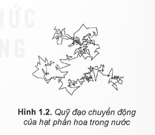 KHỞI ĐỘNGHãy dựa trên những kiến thức đã học về cấu tạo chất để giải thích tại sao cùng một chất lại có thể tồn tại ở các thể khác nhau là rắn, lỏng, khí.Giải chi tiết:Những kiến thức đã học về cấu tạo chất:- Các chất được cấu tạo từ các hạt riêng biệt là phân tử.- Các phân tử chuyển động không ngừng.- Các phân tử chuyển động càng nhanh thì nhiệt độ của vật càng cao.Ta lấy ví dụ cho dễ hiểu như sau: Nước có ba trạng thái là rắn, lỏng, khí. Khi nhiệt độ < 0ºC thì nước sẽ tồn tại ở trạng thái rắn bởi vì khi nhiệt độ càng cao thì các phân tử chuyển động chậm hơn, các phân tử sẽ ở gần nhau hơn, lực tương tác giữa các phân tử chất rắn rất mạnh nên giữ được các phân tử này ở vị trí xác định và làm cho chúng chỉ có thể dao động xung quanh các vị trí cân bằng xác định này. Khi nhiệt độ > 100℃ thì nước sẽ tồn tại ở trạng thái hơi (khí) bởi vì nhiệt độ cao thì các phân tử chuyển động càng nhanh, làm cho các phân tử ở xa nhau hơn, lực tương tác giữa các phân tử trở nên rất yếu nên chuyển động hoàn toàn hỗn loạn.Khi nhiệt độ ở < 100℃ và > 0℃ thì nước sẽ tồn tại ở trạng thái lỏng bởi vì lực tương tác các phân tử ở thể lỏng lớn hơn lực tương tác ở thể khí nên nó không chuyển động hỗn loạn như thể khí và lực tương tác các phân tử ở thể lỏng cũng nhỏ hơn lực tương tác các phân tử ở thể khí nên nó không thể giữ các phân tử ở những vị trí xác định như thể rắn được mà nó sẽ dao động xung quanh các vị trí cân bằng nhưng không cố định mà di chuyển.I. MÔ HÌNH ĐỘNG HỌC PHÂN TỬ VỀ CẤU TẠO CHẤTHoạt động 1: Trong lịch sử phát triển của khoa học, có hai quan điểm khác nhau về cấu tạo chất là quan điểm chất có cấu tạo liên tục và chất có cấu tạo gián đoạn. Mô hình động học phân tử được xây dựng trên quan điểm nào?Giải chi tiết:Mô hình động học phân tử được xây dựng trên quan điểm chất có cấu tạo gián đoạn.Hoạt động 2: Năm 1827, khi làm thí nghiệm quan sát các hạt phấn hoa rất nhỏ trong nước bằng kính hiển vi, Brown thấy chúng chuyển động hỗn loạn, không ngừng. (Hình 1.1 và Hình 1.2). Chuyển động này được gọi là chuyển động Brown.Tại sao thí nghiệm của Brown được coi là một trong những thí nghiệm chứng tỏ các phân tử chuyển động hỗn loạn, không ngừng?Làm thế nào để với thí nghiệm của Brown có thể chứng tỏ được khi nhiệt độ của nước càng cao thì các phân tử nước chuyển động càng nhanh?Giải chi tiết:Vì những phân tử, nguyên tử luôn luôn chuyển động hỗn loạn không ngừng tới mọi phía.Nhìn hình ảnh trên, ta có thể thấy được hướng chuyển động của các hạt phấn hoa dưới tác động của phân tử nước đều hỗn loạn không ngừng, đi về mọi phía.Để để chứng tỏ thí nghiệm của Brown khi nhiệt độ của nước càng cao thì các phân tử nước chuyển động càng nhanh ta có thể cho đóng đá hoặc đun sôi các hạt phấn hoa trong nước.Hoạt động 3: Hãy tìm các hiện tượng thực tế chứng tỏ giữa các phân tử có lực đẩy, lực hút.Giải chi tiết:Ví dụ : Giữa các phân tử có lưc hút là: để hai giọt nước tiếp xúc nhau thì chúng sẽ bị lực hút vào nhau nhập làm một giọt.Giữa các phân tử có lực đẩy là: chúng ta rất khó làm giảm thể tích của một khối chất lỏng II. CẤU TRÚC CỦA CHẤT RẮN, CHẤT LỎNG VÀ CHẤT KHÍHoạt động 1: Hãy dựa vào Hình 1.3 để mô tả, so sánh khoảng cách và sự sắp xếp (a), chuyển động (b) của phân tử ở các thể khác nhau. Từ đó mô tả một cách sơ lược về cấu trúc của chất rắn, chất lỏng, chất khí.Giải chi tiết:Mô tả: - Khoảng cách: Hình a của thể khí các phân tử có khoảng cách xa nhau, và sắp xếp không có trật tự. Hình a của thể rắn thì các phân tử có khoảng cách rất gần nhau và sắp xếp rất trật tự. Hình a của thể lỏng thì các phân tử có khoảng cách vừa phải, sắp xếp không trật tự.- Chuyển động: Hình a của thể khí thì các phân tử chuyển động vô cùng hỗn loạn, không theo một trật tự nào cả. Hình a của thể rắn thì các phân tử chyển động chậm, có trật tự và chỉ dao động xung quanh một vị trí xác định. Hình a của thể lỏng thì các phân tử chuyển động vừa phải, nó dao động quanh các vị trí cân bằng nhưng không cố định mà nó di chuyển.Cấu trúc của chất rắn: Các phân tử ở gần nhau (khoảng cách giữa các phân tử chỉ vào cỡ kích thước của chúng). Lực tương tác giữa các phân tử chất rắn rất mạnh nên giữ được các phân tử chất rắn rất mạnh nên giữ được các phân tử này ở các vị trí xác định và làm cho chúng chỉ có thể dao động xung quanh các vị trí cân bằng xác định này. Vì thế, các vật rắn có thể tích và hình dạng riêng xác định.Cấu trúc của chất lỏng: lực tương tác các phân tử ở thể lỏng lớn hơn lực tương tác ở thể khí nên nó không chuyển động hỗn loạn như thể khí và lực tương tác các phân tử ở thể lỏng cũng nhỏ hơn lực tương tác các phân tử ở thể khí nên nó không thể giữ các phân tử ở những vị trí xác định như thể rắn được mà nó sẽ dao động xung quanh các vị trí cân bằng nhưng không cố định mà di chuyển.Cấu trúc của chất khí: các phân tử ở xa nhau (khoảng cách giữa các phân tử lớn gấp hàng chục lần kích thước của chúng). Lực tương tác giữa các phân tử rất yếu nên các phân tử chuyển động hoàn toàn hỗn loạn. Vì thế, chất khí không có hình dạng và thể tích riêng. Chất khí chiếm toàn bộ thể tích của bình chứa và có thể nén được dễ dàng.Hoạt động 2: Hãy giải thích các đặc điểm sau đây của thể khí, thể rắn, thể lỏng.Chất khí không có hình dạng và thể tích riêng, luôn chiếm toàn bộ thể tích bình chứa và có thể nén được dễ dàng.Vật ở thể rắn có thể tích và hình dạng riêng, rất khó nén.Vật ở thể lỏng có thể tích riêng nhưng không có hình dạng riêng.Giải chi tiết:Vì lực liên kết giữa các phân tử chất khí rất yếu, chuyển động hỗn loạn không ngừng nên chất khí có thể chiếm toàn bộ thể tích bình chứa và có thể nén được dễ dàng.Vì các nguyên tử, phân tử ở gần nhau, lực tương tác giữa các nguyên tử, phân tử rất mạnh nên giữ được các nguyên tử, phân tử này ở vị trí xác định và làm cho chúng chỉ có thể dao động xung quanh các vị trí cân bằng xác định này, nên các vật có thể tích và hình dạng riêng, rất khó nén.Vì lực tương tác giữa các phân tử chất lỏng lớn hơn lực tương tác giữa các nguyên tử, phân tử chất khi nên giữ được các nguyên tử, phân tử không chuyển động phân tán ra xa nhau. Nhờ đó chất lỏng có thể tích riêng xác định. Nhưng lực này chưa đủ lớn giống chất rắn để giữ các phân tử ở những vị trí xác định được. Nên các phân tử ở thể lỏng cũng dao động xunh quang các vị trí cân bằng, nhưng những vị trí này không có định mà di chuyển nên là chất lỏng không có hình dạng riêng.III. SỰ CHUYỂN THỂ