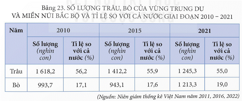 MỞ ĐẦUTrung du và miền núi Bắc Bộ (Trung du và miền núi phía Bắc) năm ở phía bắc đất nước. Vùng có thiên nhiên phong phú, giàu bản sắc văn hóa,... là những thế mạnh để phát triển kinh tế. Vùng đã khai thác các thế mạnh đó như thế nào? Việc phát triển kinh tế - xã hội có ý nghĩa gì đối với quốc phòng an ninh?Giải chi tiết:* Vùng trung du và miền núi Bắc Bộ đã khai thác thế mạnh và chế biến tài nguyên khoáng sản; phát triển thủy điện; phát triển cây công nghiệp, cây ăn quả, cây rau; phát triển chăn nuôi gia súc lớn:- Trung du và miền núi Bắc Bộ giàu tài nguyên khoáng sản nhất nước ta. => Một số loại khoáng sản chủ yếu được khai thác trong vùng như: than (Thái Nguyên, Lạng Sơn), a-pa-tít (Lào Cai), đá vôi (Hoà Bình, Hà Giang), nước khoáng (Phú Thọ, Yên Bái, Hoà Bình). Một số khoáng sản được khai thác với quy mô nhỏ như: chì – kẽm - (Bắc Kạn), thiếc (Cao Bằng).... Khoáng sản được khai thác là nguyên, nhiên liệu cho công nghiệp sản xuất điện và các ngành công nghiệp khác.- Trung du và miền núi Bắc Bộ có tiềm năng thuỷ điện lớn nhất nước ta. => Xây dựng nhiều nhà máy thuỷ điện có công suất lớn.- Địa hình phần lớn là đồi núi, xen kẽ các cao nguyên có - bể mặt tương đối bằng phẳng.+ Địa hình cao nguyên và các khu vực đồi núi thấp có đất feralit chiếm diện tích lớn.=> Hình thành các vùng chuyên canh cây công nghiệp, cây ăn quả và rau tập trung. - Khí hậu nhiệt đới ẩm gió mùa có mùa đông lạnh, phân hoá theo độ cao=> Thuận lợi cho trồng cây công nghiệp, cây ăn quả và các loại rau nhiệt đới, cận nhiệt, ôn đới.+ Nguồn nước dồi dào=> Cung cấp nước tưới cho cây công nghiệp và cây ăn quả.- Vùng có một số cao nguyên khá bằng phẳng như Mộc Châu, Sơn La,... nhiều đồng cỏ tự nhiên; các điều kiện về khí hậu, nguồn nước=> thuận lợi cho chăn nuôi gia súc. * Ý nghĩa đối với quốc phòng an ninh:- Vùng tiếp giáp với Trung Quốc và Lào, có nhiều cửa khẩu thông thương.- Trung du và miền núi Bắc Bộ là nơi cư trú của nhiều dân tộc thiểu số, là căn cứ địa cách mạng.  I. KHÁI QUÁTCâu hỏi: Dựa vào thông tin mục 1, hãy trình bày đặc điểm vị trí địa lí và phạm vi lãnh thổ vùng Trung du và miền núi Bắc Bộ.Giải chi tiết:- Vùng Trung du và miền núi Bắc Bộ bao gồm 14 tỉnh: Lai Châu, Điện Biên, Sơn La, Hoà Bình, Lào Cai, Yên Bái, Phú Thọ, Hà Giang, Tuyên Quang, Cao Bằng, Lạng Sơn, Bắc Kạn, Thái Nguyên, Bắc Giang. Diện tích của vùng năm 2021 là 95,2 nghìn km². - Vùng tiếp giáp với hai nước láng giềng là Trung Quốc, Lào; giáp vùng Đồng bằng sông Hồng, vùng Bắc Trung Bộ và Duyên hải miền Trung.- Trung du và miền núi Bắc Bộ có vị trí đặc biệt quan trọng, có nhiều cửa khẩu quốc tế thông thương với các nước láng giếng; tiếp giáp với hai vùng kinh tế, tạo điều kiện hỗ trợ và trao đổi hàng hoá. Câu hỏi: Dựa vào thông tin mục 2, hãy trình bày một số đặc điểm về dân số vùng Trung du và miền núi Bắc BộGiải chi tiết:- Năm 2021, số dân trong vùng là 12,9 triệu người, tỉ lệ tăng dân số tự nhiên là 1,05%, cao hơn so với mức trung bình chung của cả nước (0,93%).- Mật độ dân số trung bình là 136 người/km², thấp hơn so với trung bình của cả nước (297 người/km²). Dân cư chủ yếu sinh sống ở nông thôn, tỉ lệ dân thành thị là 20,5% (cả nước là 37,1% năm 2021).- Trung du và miền núi Bắc Bộ có nhiều dân tộc sinh sống như: Kinh, Thái, Mường, HMông, Tày, Nùng, Dao,... II. KHAI THÁC THẾ MẠNH ĐỂ PHÁT TRIỂN KINH TẾCâu hỏi: Dựa vào thông tin mục a và hình 23.1, 23.2, hãy:- Nêu thế mạnh về khoáng sản ở vùng Trung du và miền núi Bắc Bộ.- Trình bày hiện trạng khai thác, chế biến khoáng sản của vùng.Giải chi tiết:1. Thế mạnh- Trung du và miền núi Bắc Bộ giàu tài nguyên khoáng sản nhất nước ta. Một số loại khoáng sản có trữ lượng tương đối lớn, có khả năng khai thác với quy mô công nghiệp như:+ Than ở Lạng Sơn, Thái Nguyên; + sắt ở Yên Bái, Lào Cai, Hà Giang; + Đồng ở Sơn La, Bắc Giang; đồng – vàng ở Lào Cai; + Thiếc ở Cao Bằng, Thái Nguyên; + Đất hiếm ở Lai Châu; a-pa-tít ở Lào Cai; + Đá vôi, đá xây dựng có ở nhiều tỉnh trong vùng; + Nước khoáng ở Hoà Bình, Phú Thọ, Tuyên Quang.- Cơ sở hạ tầng và cơ sở vật chất – kĩ thuật ngày càng hoàn thiện, các yếu tố khoa - học – công nghệ mới, tiên tiến được ứng dụng giúp cho khai thác và chế biến khoáng sản thuận lợi hơn.2. Hiện trạng khai thác- Một số loại khoáng sản chủ yếu được khai thác trong vùng như: than (Thái Nguyên, Lạng Sơn), a-pa-tít (Lào Cai), đá vôi (Hoà Bình, Hà Giang), nước khoáng (Phú Thọ, Yên Bái, Hoà Bình). Một số khoáng sản được khai thác với quy mô nhỏ như: chì – kẽm - (Bắc Kạn), thiếc (Cao Bằng)....- Khoáng sản được khai thác là nguyên, nhiên liệu cho công nghiệp sản xuất điện và các ngành công nghiệp khác:+ Trong vùng có một số nhà máy nhiệt điện than như Na Dương (Lạng Sơn) công suất 110 MW, Sơn Động (Bắc Giang) công suất 220 MW, An Khánh (Thái Nguyên) công suất 120 MW. +Các sản phẩm của công nghiệp chế biến khoáng sản nổi bật là xi măng, phân bón,...- Khai thác khoáng sản trong vùng có tác động đến môi trường. => Trong quá trình khai thác cần hạn chế tác động xấu tới môi trường cũng như đối với các ngành khác mà vùng có nhiều tiềm năng. Câu hỏi: Dựa vào thông tin mục 2 và hình 23.1, 23.2, hãy:- Chứng minh thế mạnh về thủy điện của vùng Trung du và miền núi Bắc Bộ.- Trình bày việc khai thác thế mạnh và hướng phát triển thủy điển của vùng.Giải chi tiết:* Thế mạnh- Trung du và miền núi Bắc Bộ có tiềm năng thuỷ điện lớn nhất nước ta. - Riêng hệ thống sông Hồng chiếm trên 30% trữ lượng thuỷ năng của cả nước (11 triệu kW), trong đó sông Đà gần 6 triệu kW. - Ngoài ra, vùng có nhiều sông, suối, thuận lợi để xây dựng các nhà máy thuỷ điện có công suất vừa và nhỏ.- Nhu cầu về điện trong nước ngày càng tăng, khoa học – công nghệ tiên tiến, chính sách phát triển phù hợp, nguồn vốn đầu tư lớn là động lực thúc đẩy ngành phát triển.* Khai thác thế mạnh và hướng phát triển- Trung du và miền núi Bắc Bộ đã xây dựng nhiều nhà máy thuỷ điện có công suất lớn.+ Trên sông Đà, ba nhà máy thuỷ điện lớn nhất cả nước đã được xây dựng là nhà máy thuỷ điện Sơn La (2 400 MW), nhà máy thuỷ điện Hoà Bình (1 920 MW), nhà máy thuỷ điện Lai Châu (1 200 MW). + Các nhà máy thuỷ điện đáng kể khác là Huội Quảng (520 MW), Tuyên Quang (342 MW), Bản Chát (220 MW), Thác Bà (110 MW). + Trên các sông suối nhỏ đã xây dựng nhiều nhà máy thuỷ điện có công suất vừa và nhỏ.- Việc phát triển thuỷ điện góp phần khai thác thế mạnh, cung cấp năng lượng cho vùng và cả nước, tạo động lực mới cho sự phát triển của vùng.- Phát triển thuỷ điện ở vùng cần chú ý đến việc giải quyết hài hoà vẫn để khai thác, sử dụng nguồn nước giữa thuỷ điện và thuỷ lợi; quản lí và sử dụng hiệu quả tài nguyên nước, ứng phó với thiên tai và biến đổi khí hậu; khai thác hiệu quả vùng lòng hồ, phát triển nuôi trồng thuỷ sản, du lịch; bảo vệ rừng đầu nguồn để giữ nguồn nước cho các hồ thuỷ điện,... Câu hỏi: Dựa vào thông tin mục 3 và hình 23.2, 23.3, hãy:- Chứng minh Trung du và miền núi Bắc Bộ có thế mạnh để phát triển cây công nghiệp, cây ăn quả, cây rau.- Trình bày việc khai thác thế mạnh và hướng phát triển cây trồng của vùng.Giải chi tiết:* Thế mạnh- Trung du và miền núi Bắc Bộ có địa hình phần lớn là đồi núi, xen kẽ các cao nguyên có - bể mặt tương đối bằng phẳng. - Địa hình cao nguyên và các khu vực đồi núi thấp có đất feralit chiếm diện tích lớn, tạo điều kiện hình thành các vùng chuyên canh cây công nghiệp, cây ăn quả và rau tập trung. - Khí hậu nhiệt đới ẩm gió mùa có mùa đông lạnh, phân hoá theo độ cao thuận lợi cho trồng cây công nghiệp, cây ăn quả và các loại rau nhiệt đới, cận nhiệt, ôn đới.- Nguồn nước dồi dào cung cấp nước tưới cho cây công nghiệp và cây ăn quả.- Lao động trong vùng có nhiều kinh nghiệm trong trồng và canh tác cây công nghiệp, cây ăn quả trên đất dốc. - Các chính sách nông nghiệp theo hướng phát triển nông nghiệp hàng hoá, nông nghiệp hữu cơ; ứng dụng khoa học – công nghệ trong trồng, chế biến sản phẩm cây công nghiệp, cây ăn quả. - Thị trường tiêu thụ sản phẩm được mở rộng cả trong nước và nước ngoài là những thuận lợi để thúc đẩy phát triển cây công nghiệp và rau quả.* Khai thác thế mạnh và hướng phát triểnCơ cấu cây trồng của Trung du và miền núi Bắc Bộ đa dạng, gồm cây công nghiệp, cây ăn quả và các loại rau.- Cây công nghiệp: Trung du và miền núi Bắc Bộ là vùng chuyên canh cây công nghiệp lớn thứ ba cả nước (sau Tây Nguyên và Đông Nam Bộ). Các loại cây công nghiệp lâu năm được trồng trong vùng là chè, cà phê, hồi, quế,...+ Chè là cây công nghiệp quan trọng số một của vùng. Năm 2021, diện tích chè đạt trên 90 nghìn ha, chiếm hơn 70% diện tích chè cả nước. Các tỉnh trồng chè nhiều nhất là Thái Nguyên, Phú Thọ, Hà Giang. Các cơ sở chế biến chè ngày càng phát triển đã nâng cao giá trị và chất lượng sản phẩm. Sản phẩm chè được xuất khẩu sang nhiều thị trường lớn như: Đức, Pháp, Anh,...+ Cà phê được trồng ở khu vực Tây Bắc chủ yếu ở Sơn La và Điện Biên.- Cây ăn quả phát triển mạnh, cơ cấu đa dạng. Các cây ăn quả được phát triển - mạnh là xoài, nhãn, mận (Sơn La), vải (Bắc Giang), đào, lê (Lai Châu, Điện Biên), cam, - quýt, bưởi (Hà Giang, Tuyên Quang, Phú Thọ). Vùng đã tích cực áp dụng khoa học - công nghệ trong trồng, chăm sóc, chế biến sản phẩm cây ăn quả.- Rau và các cây khác: Trung du và miền núi Bắc Bộ có diện tích rau cận nhiệt và ôn đới khá lớn. Các loại rau được trồng chủ yếu như su su, bắp cải, cà chua, súp lơ, cải thảo,... Các tỉnh có diện tích rau lớn như Lào Cai, Yên Bái, Sơn La,... Một số tỉnh còn trồng dưới tán rừng các cây dược liệu quý (đương quy, đỗ trọng, tam thất, sâm) như Lai Châu, Cao Bằng, Yên Bái, Lào Cai,...- Hướng phát triển: sản xuất nông nghiệp hàng hoá, an toàn, phát triển nông nghiệp hữu cơ; tăng diện tích cây ăn quả, phát triển cây dược liệu gắn với công nghiệp chế biến. Câu hỏi: Dựa vào thông tin mục 4 và hình 23.1, 23.2, hãy:- Chứng minh Trung du và miền núi Bắc Bộ có thế mạnh để phát triển chăn nuôi gia súc lớn.- Trình bày việc khai thác thế mạnh và hướng phát triển chăn nuôi gia súc lớn của vùng.Giải chi tiết:* Thế mạnh phát triển- Vùng có một số cao nguyên khá bằng phẳng như Mộc Châu, Sơn La,... nhiều đồng cỏ tự nhiên => thuận lợi cho chăn nuôi gia súc. - Các điều kiện về khí hậu, nguồn nước => thuận lợi cho phát triển chăn nuôi trong vùng.- Các cơ sở chế biến thức ăn gia súc, chuồng trại chăn nuôi, cơ sở chế biến sản phẩm chăn nuôi đã được đầu tư ngày càng đồng bộ và hiện đại hơn. - Nhiều công nghệ mới được ứng dụng trong chăn nuôi và chế biến các sản phẩm chăn nuôi.- Thị trường tiêu thụ sản phẩm không ngừng được mở rộng.* Khai thác thế mạnh và hướng phát triển- Trong vùng đã ứng dụng khoa học - công nghệ trong chăn nuôi, hình thức chăn nuôi đa dạng hơn, chăn nuôi công nghiệp và bán công nghiệp được phát triển rộng rãi. - Các loại gia súc lớn phổ biến trong vùng là trâu, bò, ngựa.+ Đàn trâu trong vùng có số lượng lớn nhất cả nước. Các tỉnh nuôi nhiều trâu là Hà Giang, Điện Biên, Sơn La.+ Đàn bò (lấy thịt và lấy sữa) có xu hướng tăng. Các tỉnh có số lượng bò lớn là Sơn La, Bắc Giang, Hà Giang,... trong đó, Sơn La có số lượng bò lớn nhất vùng với 373,3 nghìn con, chiếm 30,8% tổng đàn bò của cả vùng (năm 2021). Bò sữa được nuôi tập trung ở cao nguyên Mộc Châu (Sơn La).+ Chăn nuôi ngựa là nét đặc trưng ở vùng. Các tỉnh có số lượng ngựa nhiều nhất là Hà Giang, Lào Cai,...- Hướng phát triển: + Phát triển vùng chăn nuôi tập trung, an toàn dịch bệnh với quy mô phù hợp, hiệu quả cao dựa trên lợi thế của vùng; + Đầu tư xây dựng cơ sở chế biến thức ăn để chủ động nguồn thức ăn, tăng cường ứng dụng khoa học – công nghệ trong chăn nuôi, đẩy mạnh công nghiệp chế biến, đa dạng hoá các sản phẩm chăn nuôi.III. Ý NGHĨA CỦA PHÁT TRIỂN KINH TẾ - XÃ HỘI ĐỐI VỚI QUỐC PHÒNG AN NINHCâu hỏi: Dựa vào thông tin mục III, hãy cho biết ý nghĩa của phát triển kinh tế - xã hội đối với quốc phòng an ninh ở vùng Trung du và miền núi Bắc BộGiải chi tiết:Trung du và miền núi Bắc Bộ là vùng có diện tích rộng lớn. Việc phát triển kinh tế của vùng không chỉ có ý nghĩa về kinh tế mà còn củng cố được sức mạnh quốc phòng an ninh.- Vùng tiếp giáp với Trung Quốc và Lào, có nhiều cửa khẩu thông thương => Đẩy mạnh phát triển kinh tế của vùng, xây dựng các khu kinh tế cửa khẩu, tạo nên sự gắn kết chặt chẽ giữa phát triển kinh tế với củng cố quốc phòng an ninh.- Trung du và miền núi Bắc Bộ là nơi cư trú của nhiều dân tộc thiểu số, là căn cứ địa cách mạng => Phát triển kinh tế góp phần nâng cao đời sống vật chất và tinh thần cho nhân dân, tăng cường khối đại đoàn kết giữa các dân tộc; đồng thời thực hiện được chủ trương của Đảng về đền ơn đáp nghĩa, uống nước nhớ nguồn. Qua đó, ổn định an ninh xã hội, góp phần đảm bảo quốc phòng an ninh.LUYỆN TẬP, VẬN DỤNG