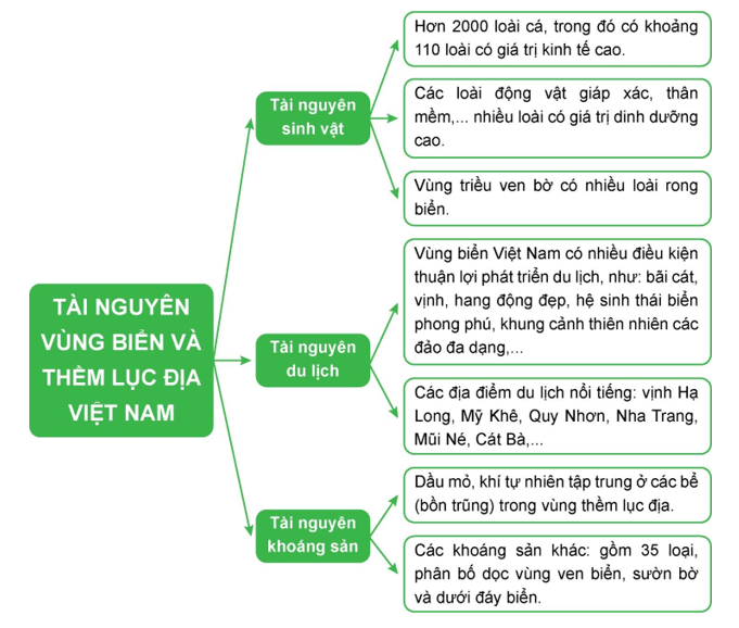 MỞ ĐẦUViệt Nam là quốc gia có tiềm năng lớn về tài nguyên biển. Biển đảo chứa đựng nhiều tài nguyên có giá trị để phát triển kinh tế - xã hội của đất nước. Hãy nêu một số tài nguyên biển Việt Nam mà em biết.Giải chi tiết:Một số tài nguyên biển nổi bật của Việt Nam:- Khoáng sản: dầu khí, cát thủy tinh, muối,...- Nguồn hải sản đa dạng, phong phú.- Nhiều bãi biển đẹp, các đảo ven bờ,... phát triển du lịch. 1. MÔI TRƯỜNG BIỂN ĐẢO VIỆT NAMNhiệm vụ 1: Dựa vào thông tin mục 1, hãy:CH: Nêu đặc điểm môi trường biển đảo Việt Nam.Giải chi tiết:Môi trường biển đảo là một bộ phận trong môi trường sống của con người nói chung, bao gồm các yếu tố tự nhiên (bờ biển, đáy biển, nước biển, đa dạng sinh học biển,...) và các yếu tố nhân tạo (các công trình xây dựng, các cơ sở sản xuất,... nằm ven biển, trên biển và các đảo).Môi trường biển không chia cắt được.Môi trường đảo biệt lập với đất liền, có diện tích nhỏ. CH: Trình bày vấn đề bảo vệ môi trường biển đảo Việt Nam. Bản thân em có thể làm gì để góp phần bảo vệ môi trường biển đảo.Giải chi tiết:Chất lượng môi trường nước biển của nước ta có xu hướng giảm do chịu tác động mạnh của các hoạt động phát triển kinh tế - xã hội khu vực ven bờ. Ngoài ra, biến đổi khí hậu và nước biển dâng cũng có tác động xấu đến môi trường biển đảo.Đề bảo vệ môi trường biển đảo cần kết hợp nhiều giải pháp như: xây dựng cơ chế chính sách, luật bảo vệ môi trường biển đảo; áp dụng các thành tựu khoa học công nghệ để kiểm soát và xử lí vấn đề môi trường biển đảo; tuyên truyền, nâng cao nhận thức của người dân về bảo vệ và cải thiện môi trường biển đảo,...Học sinh có thể tham gia với các hành động sau:+ Tham gia các hoạt động làm sạch bờ biển, giữ gìn môi trường sinh thái,... nhằm giảm thiểu sự suy thoái, ô nhiễm.+ Đấu tranh với các hoạt động khai thác, sử dụng tài nguyên biển đảo trái với quy định của pháp luật.+ Rèn luyện kĩ năng để thích ứng với các thiên tai và sự cố xảy ra trong vùng biển đảo. 2. TÀI NGUYÊN BIỂN VÀ THỀM LỤC ĐỊA VIỆT NAMNhiệm vụ 2:CH: Đọc thông tin mục 2, hãy trình bày các tài nguyên biển và thềm lục địa Việt Nam.Giải chi tiết:Tài nguyên sinh vật: Sinh vật ở vùng biển Việt Nam phong phú, có tính đa dạng sinh học cao: có hơn 2 000 loài cá, trong đó có khoảng 110 loài có giá trị kinh tế cao. Ngoài ra, còn có các loài động vật giáp xác, thân mềm như: tôm, mực, hải sâm,... Vùng triều ven bờ có nhiều loài rong biển được sử dụng trong công nghiệp thực phẩm và xuất khẩu.- Tài nguyên du lịch: Bờ biển dài, nhiều bãi cát, vịnh, hang động đẹp, nước biển trong xanh,... hệ sinh thái biển, đảo đa dạng, phong phú => điều kiện thuận lợi phát triển du lịch biển. Một số địa điểm thu hút khấch du lịch: vịnh Hạ Long, Mũi Né, Côn Đảo, Phú Quốc,...Tài nguyên khoáng sản:+ Dầu mỏ, khí tự nhiên tập trung ở các bể trong vùng thềm lục địa như các bể Sông Hồng, Phú Khánh, Cửu Long,...+ Các loại khoáng sản khác (35 loại) như titan, cát thủy tinh, muối,...  phân bố dọc vùng ven biển, sườn bờ, dưới đáy biển.+ Thuận lợi để xây dựng các cảng nước sâu, phát triển giao thông vận tải biển. LUYỆN TẬPCH: Lập sơ đồ thể hiện các tài nguyên ở vùng biển và thềm lục địa Việt Nam.Giải chi tiết: điều kiện thuận lợi phát triển du lịch biển. Một số địa điểm thu hút khấch du lịch: vịnh Hạ Long, Mũi Né, Côn Đảo, Phú Quốc,...Tài nguyên khoáng sản:+ Dầu mỏ, khí tự nhiên tập trung ở các bể trong vùng thềm lục địa như các bể Sông Hồng, Phú Khánh, Cửu Long,...+ Các loại khoáng sản khác (35 loại) như titan, cát thủy tinh, muối,...  phân bố dọc vùng ven biển, sườn bờ, dưới đáy biển.+ Thuận lợi để xây dựng các cảng nước sâu, phát triển giao thông vận tải biển. LUYỆN TẬPCH: Lập sơ đồ thể hiện các tài nguyên ở vùng biển và thềm lục địa Việt Nam.Giải chi tiết: VẬN DỤNG  width=