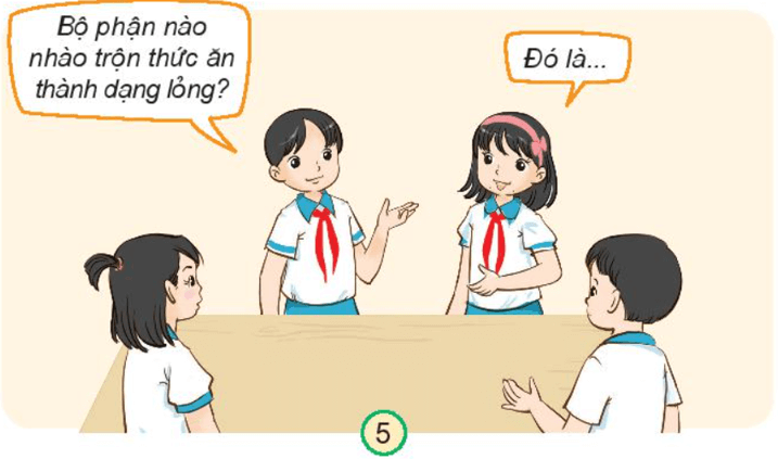 MỞ ĐẦU