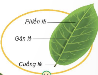 MỞ ĐẦU
