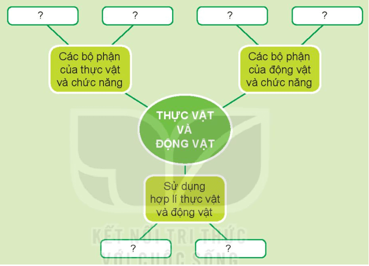 THỰC HÀNH