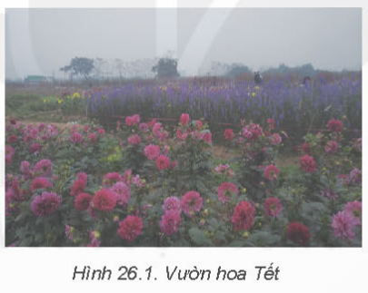 MỞ ĐẦU