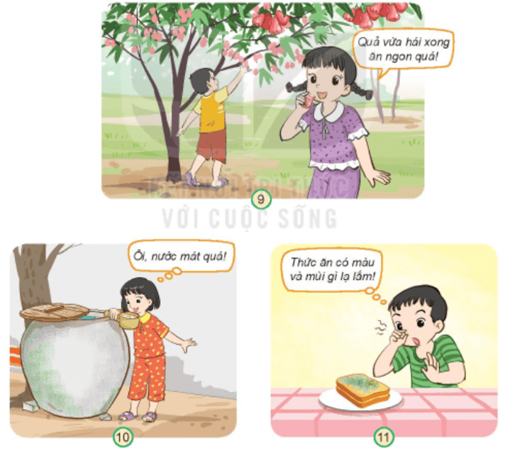 MỞ ĐẦU
