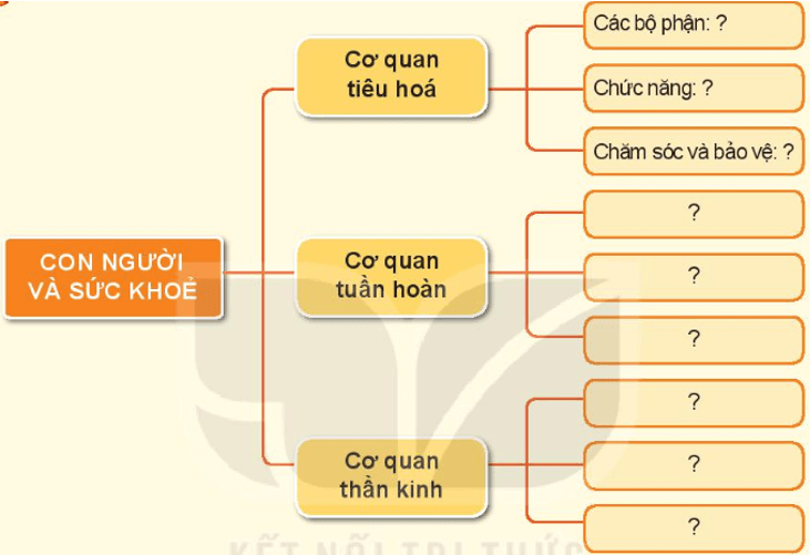 THỰC HÀNH