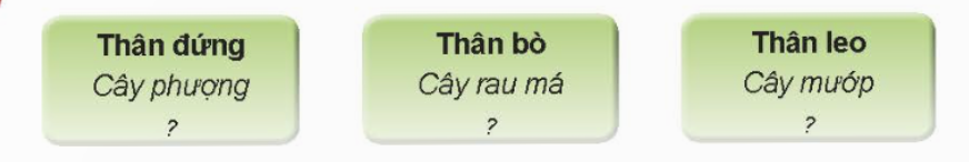MỞ ĐẦU