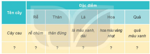 MỞ ĐẦU