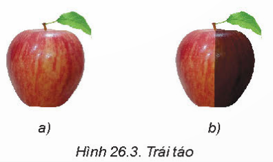 MỞ ĐẦU