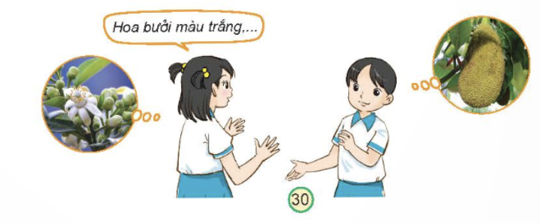 MỞ ĐẦU