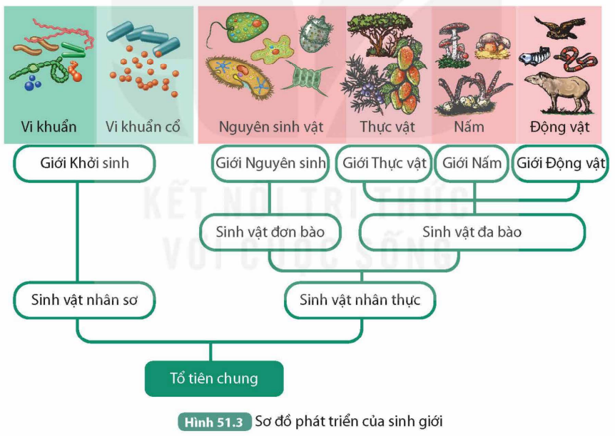 KHỞI ĐỘNG