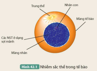 KHỞI ĐỘNG