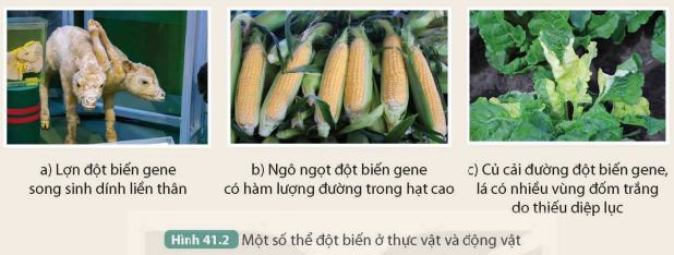 KHỞI ĐỘNG