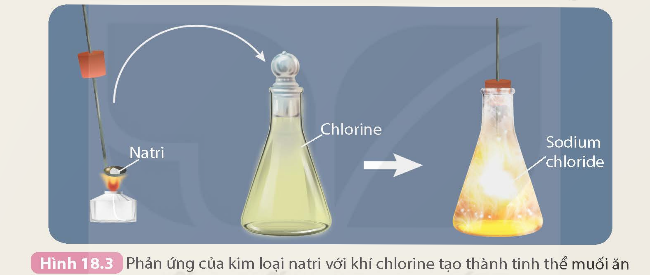 KHỞI ĐỘNG