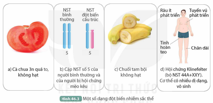 KHỞI ĐỘNG