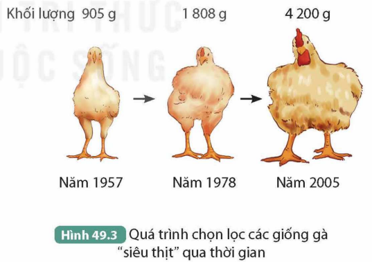 KHỞI ĐỘNG