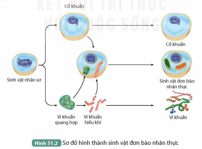 KHỞI ĐỘNG