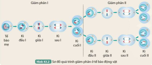 KHỞI ĐỘNG