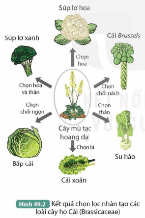 KHỞI ĐỘNG
