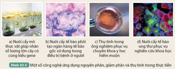 KHỞI ĐỘNG