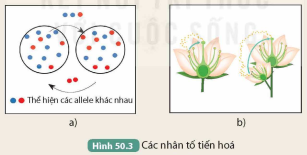 KHỞI ĐỘNG