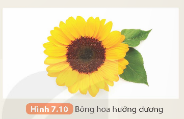 KHỞI ĐỘNG