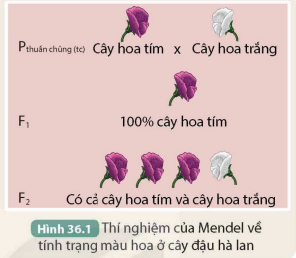 KHỞI ĐỘNG