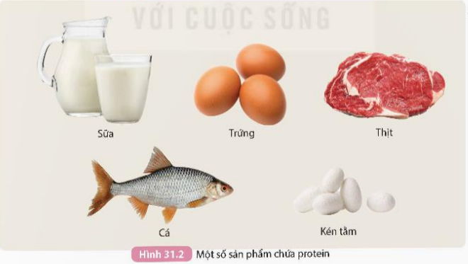 KHỞI ĐỘNG