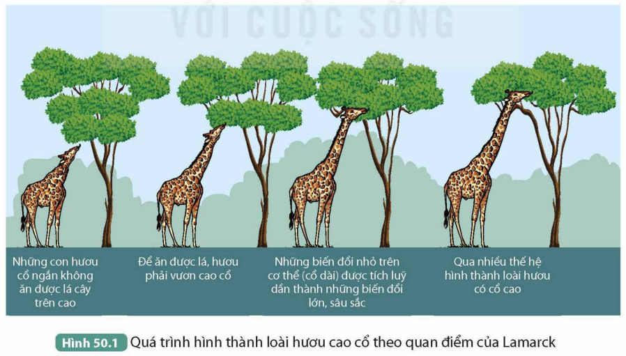 KHỞI ĐỘNG
