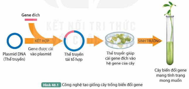 KHỞI ĐỘNG