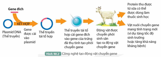 KHỞI ĐỘNG