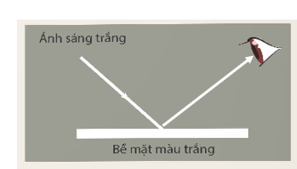 KHỞI ĐỘNG