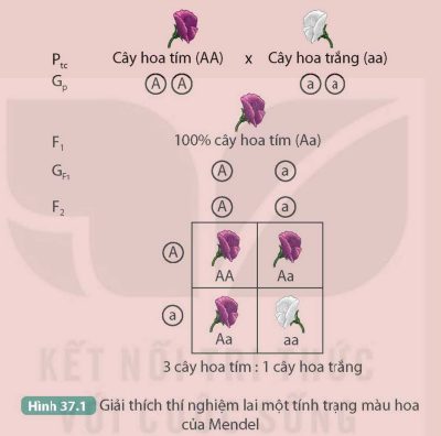 KHỞI ĐỘNG