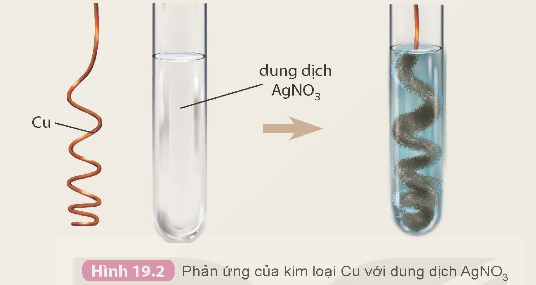 KHỞI ĐỘNG