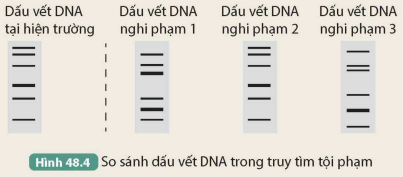 KHỞI ĐỘNG