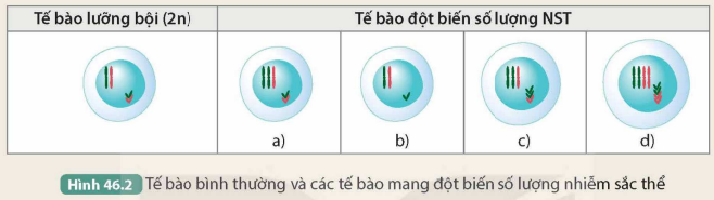KHỞI ĐỘNG