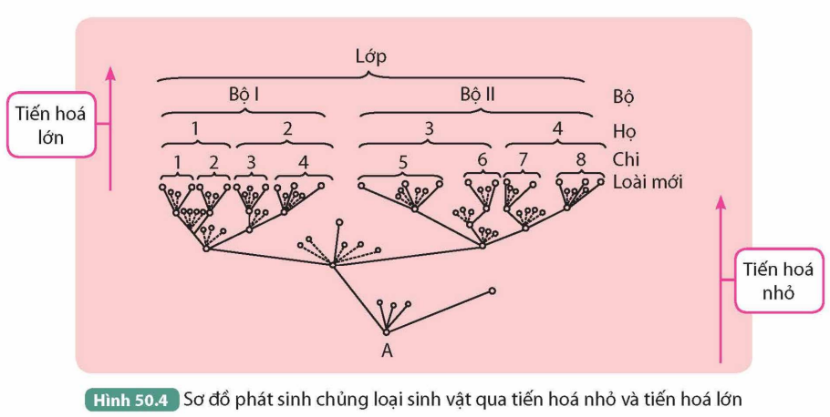 KHỞI ĐỘNG