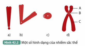 KHỞI ĐỘNG