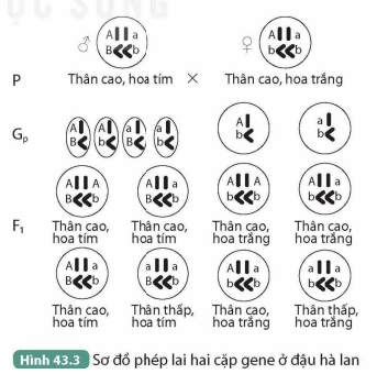 KHỞI ĐỘNG