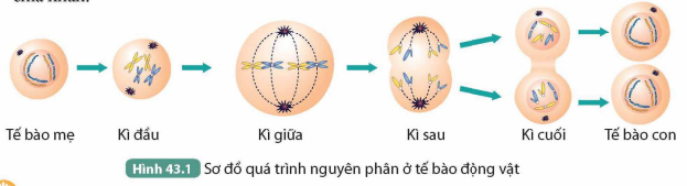 KHỞI ĐỘNG