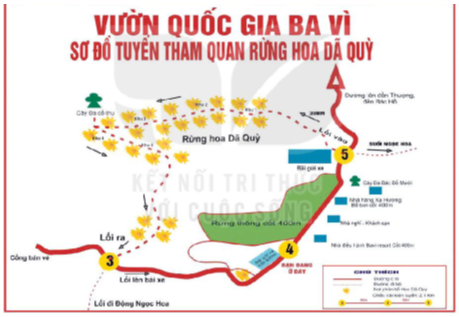 1. NHẬN BIẾT (5 câu)