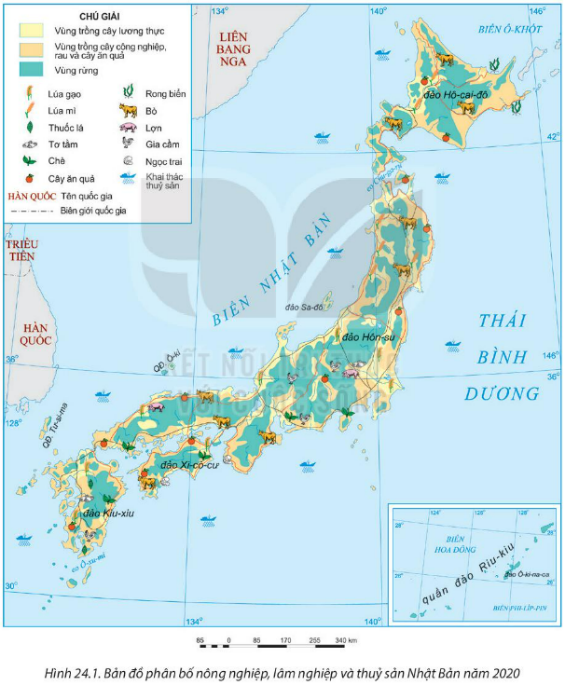 BÀI 24: KINH TẾ NHẬT BẢN