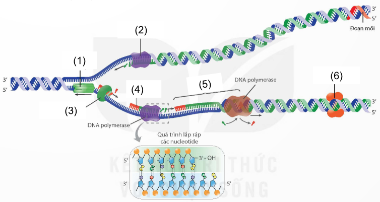 PHẦN 4. DI TRUYỀN HỌC