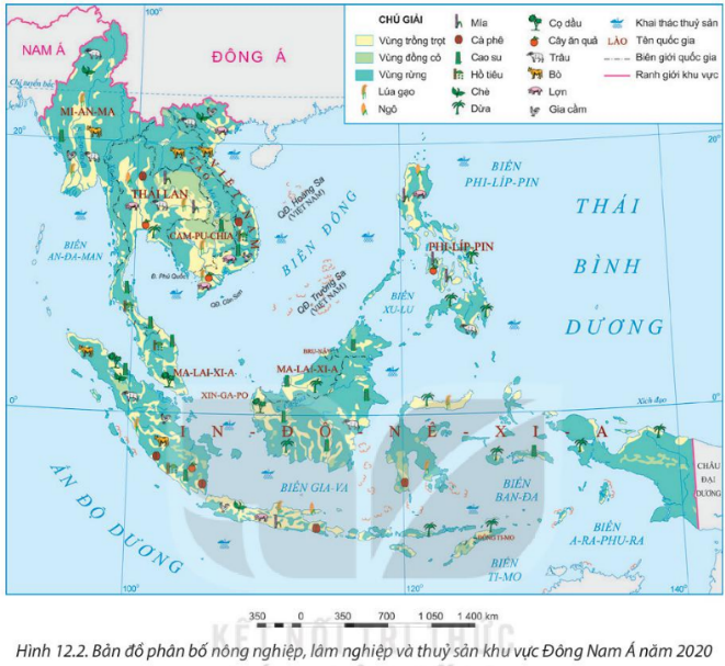 BÀI 12: KINH TẾ KHU VỰC ĐÔNG NAM Á