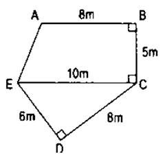 1. NHẬN BIẾT (5 câu)